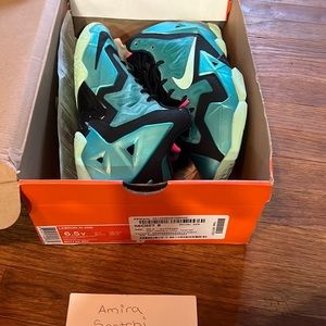 Nike Lebron south beach 11